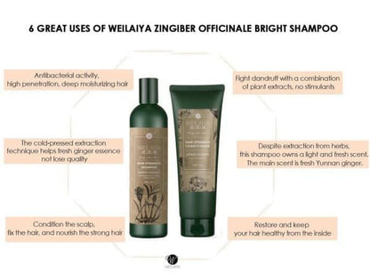 Weilaiya Ginger/ Zingiber Officinale Juice 400ml & Conditioner 250ml Set for Dry Hair/ Normal Hair