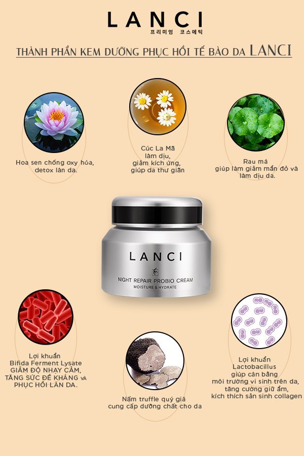 LANCI Night Repair Probio Cream 50ml